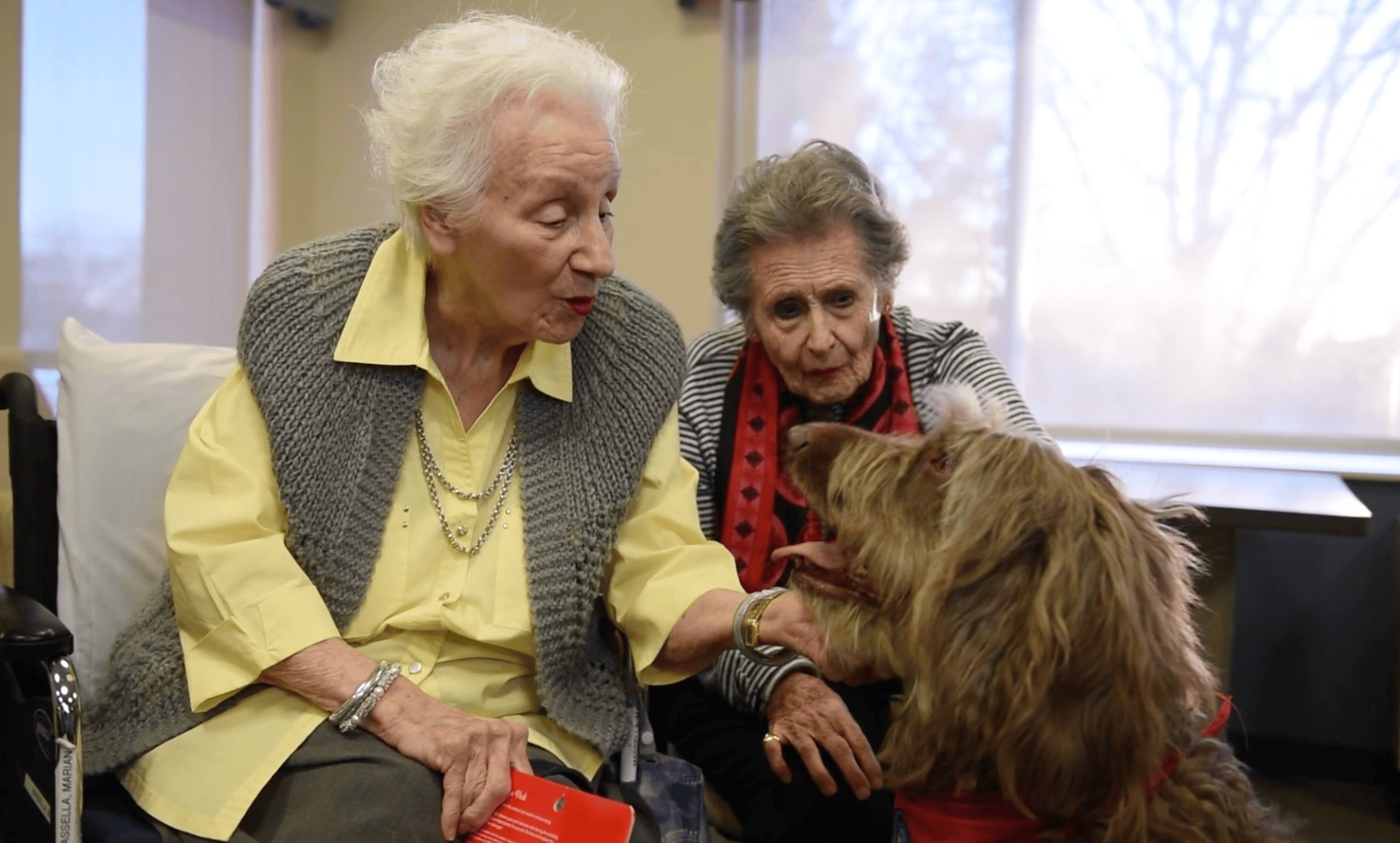 Seniors In Pet Therapy
